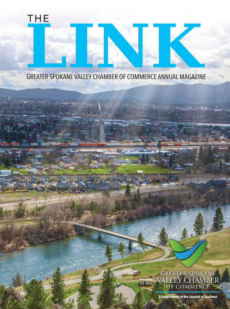 The Link Cover